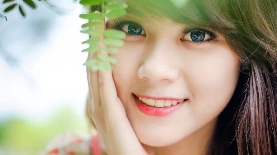 广东省能源集团党委原副书记黎凯生接受审查调查